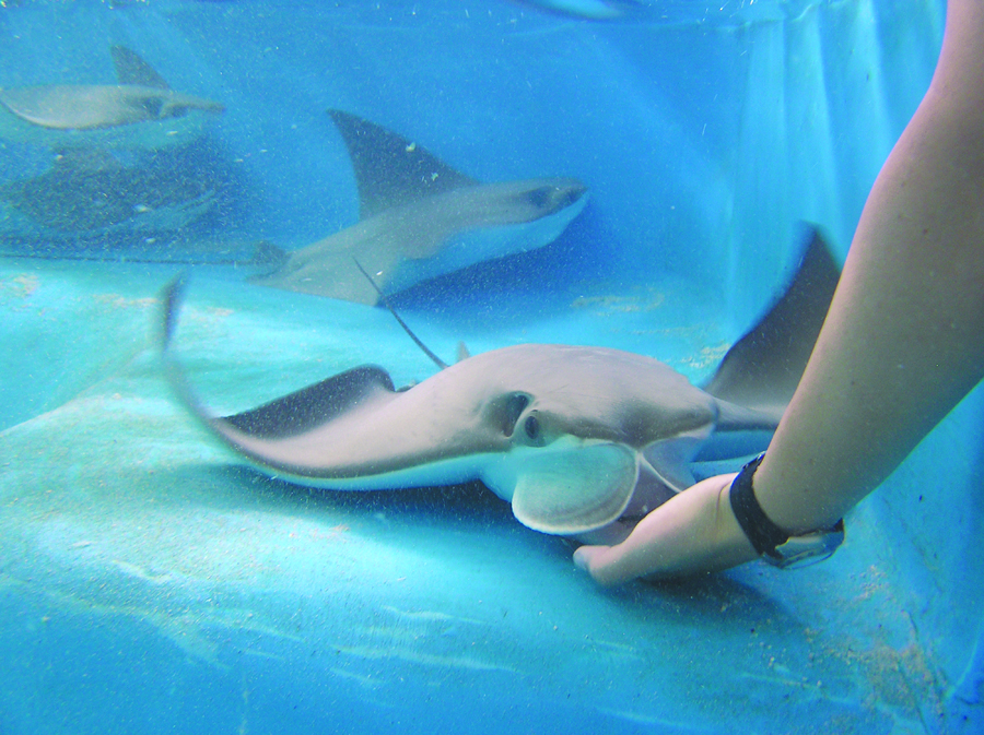 Florida Oceanographic Coastal Center