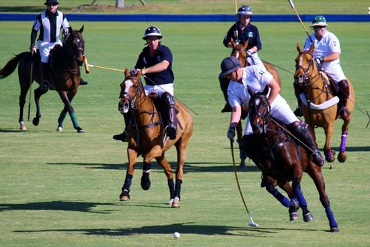 Port Mayaca Polo Club Image