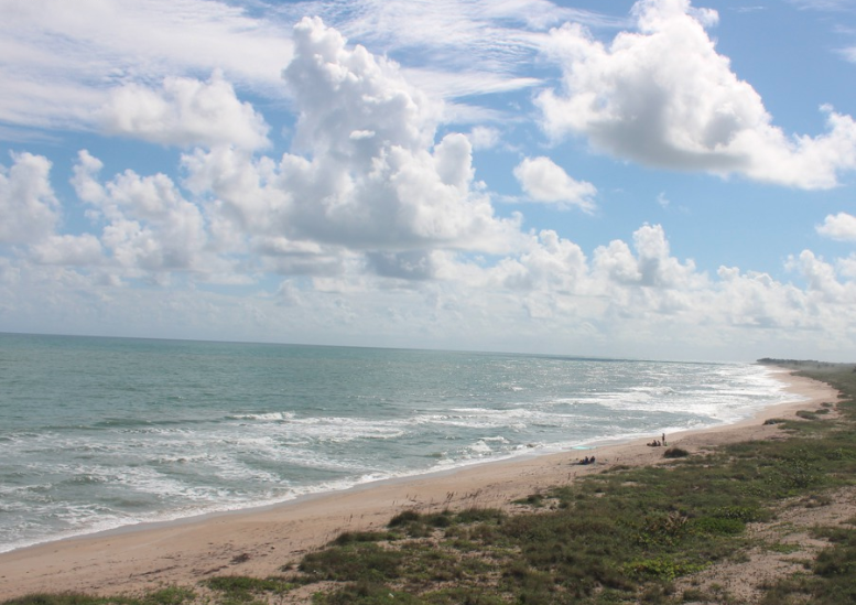 Hobe Sound Beach Image