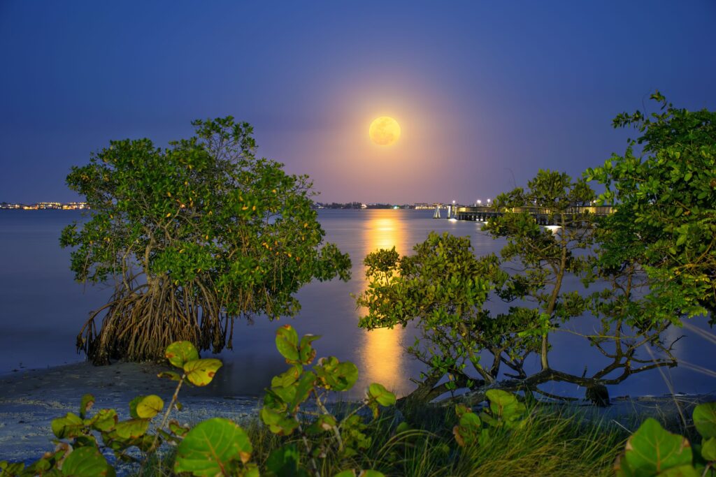 Check out Protect Our Paradise to view our full guide to sustainable tourism Image
